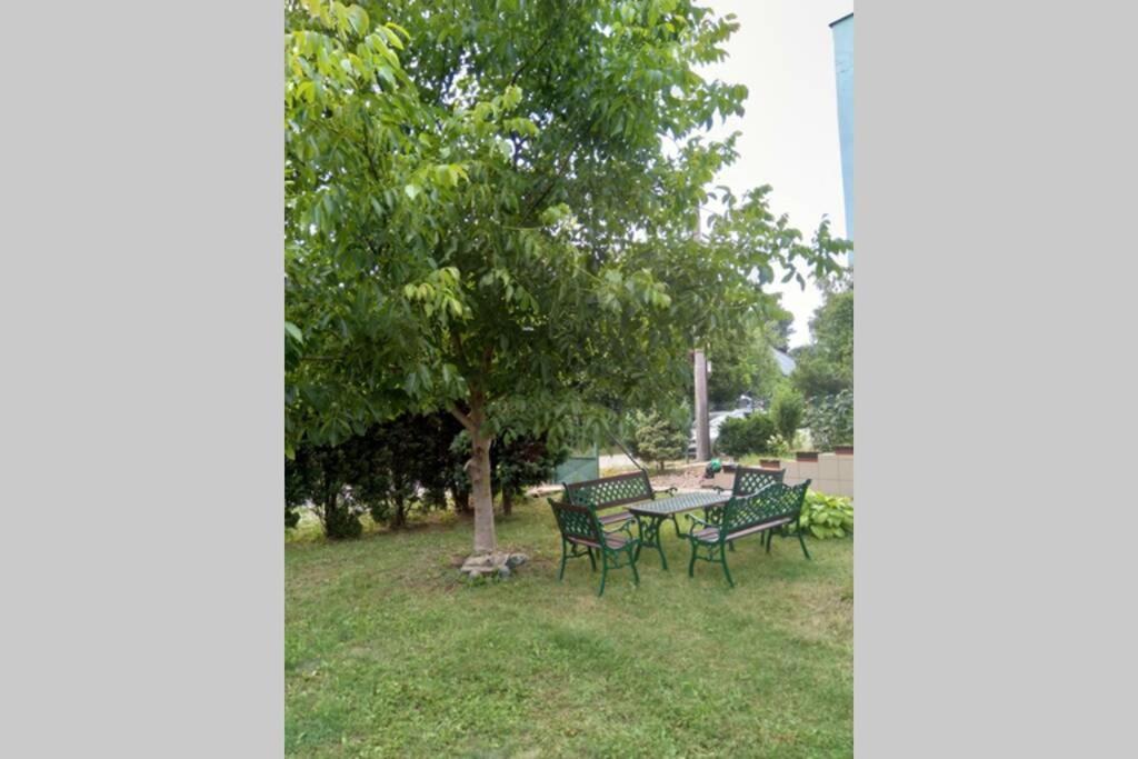 Rodinný apartmán s posedením pod košatým orechom. Trávnica Esterno foto