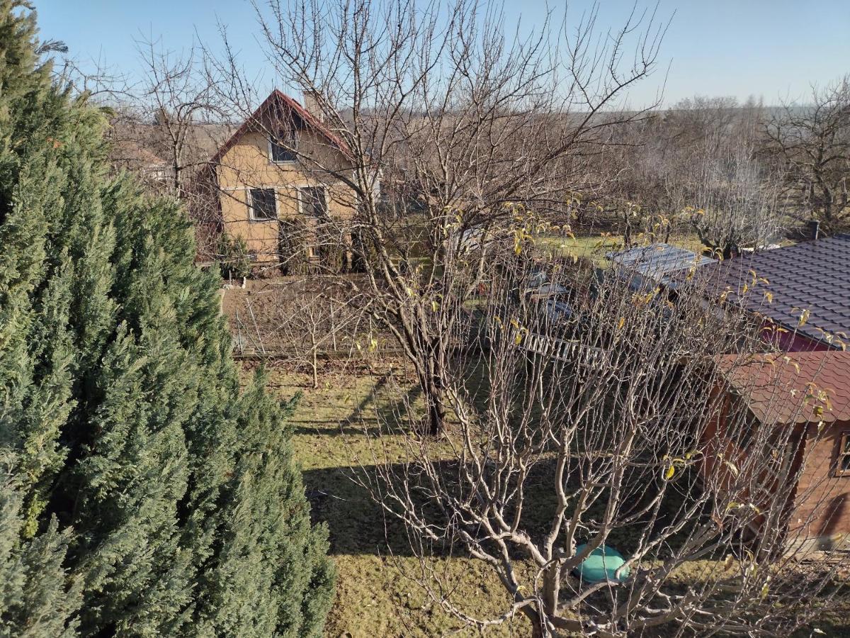 Rodinný apartmán s posedením pod košatým orechom. Trávnica Esterno foto